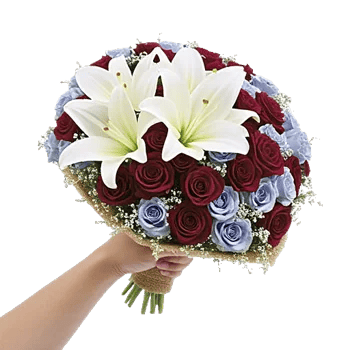 Blushing Rose Symphony