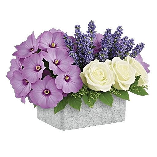 Delicate Petal Cascade