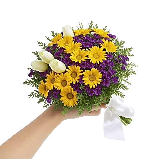 Blossom Harmony Display