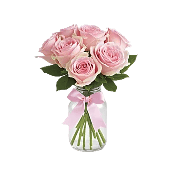 Pink Pastel Roses