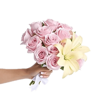 Blushing Rose Symphony