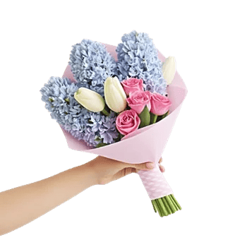 Pastel Blossom Grace