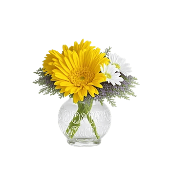 Petal Radiance Bliss