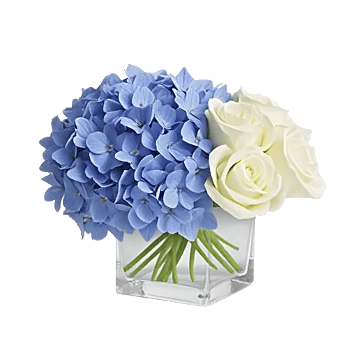 Serene Garden Harmony