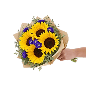 Twinkling Sunflower Dance