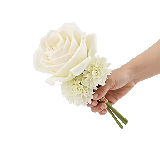 Delicate Petal Cascade