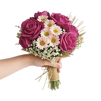Pastel Pink Roses