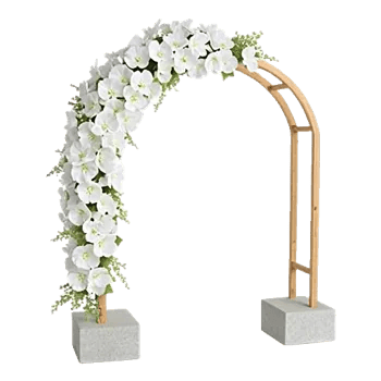 Modern White Orchids