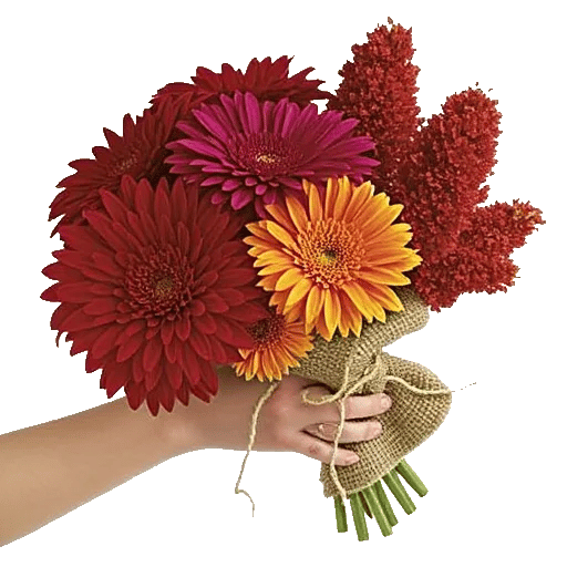 Crimson Blossom Harmony