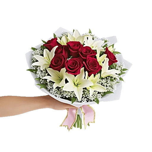 Crimson Rose Elegance