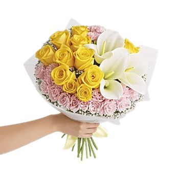 Blossom Harmony Display