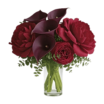 Elegant Calla Lilies