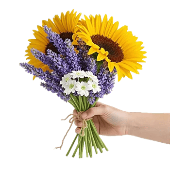 Twinkling Sunflower Dance