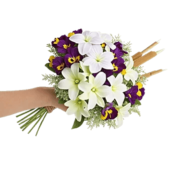 Blossom Harmony Display