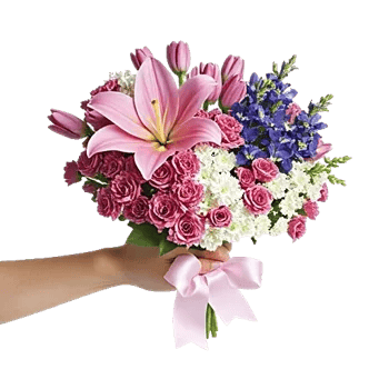 Blushing Rose Symphony