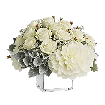 Ivory Blossom Radiance