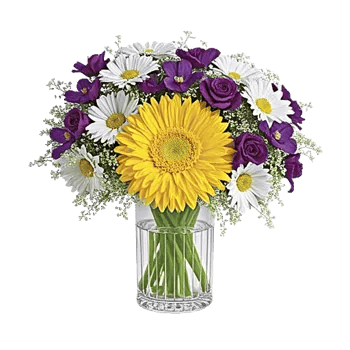 Ivory Blossom Radiance