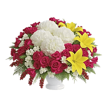 Petal Radiance Bliss