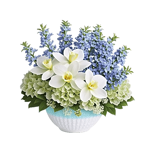 Minimalist White Orchids