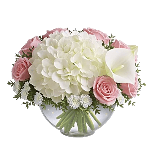 Serene Petal Harmony