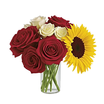 Radiant Rose Symphony