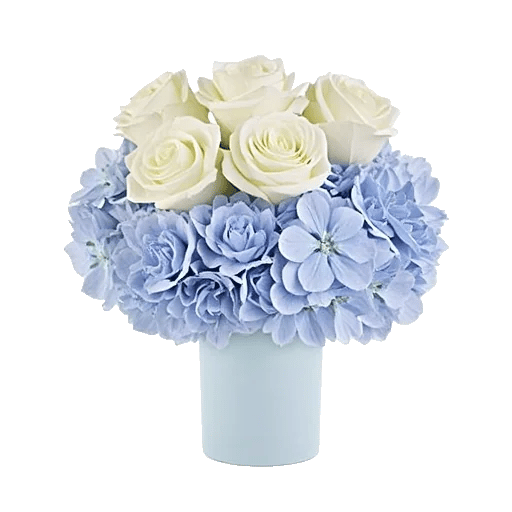 Serene Petal Harmony