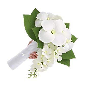 Modern White Orchids
