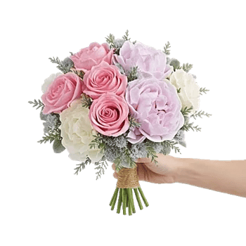 Pastel Pink Roses