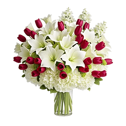 Elegant Calla Lilies