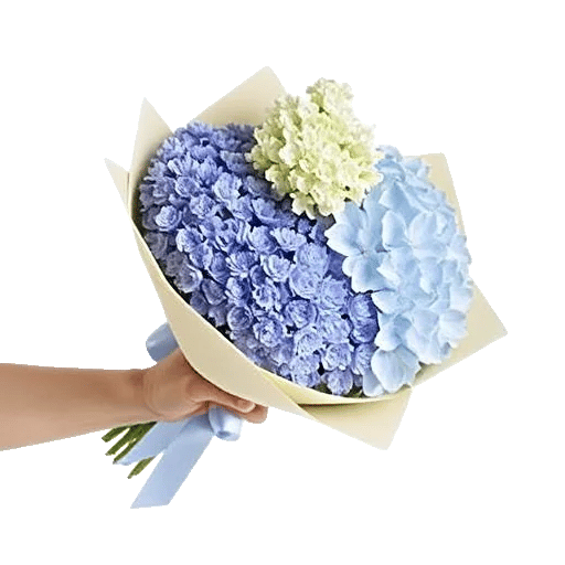 Serene Petal Harmony