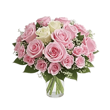 Pink Pastel Roses
