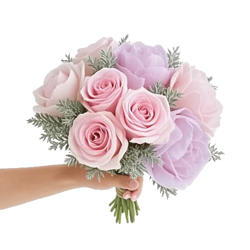 Pastel Pink Roses