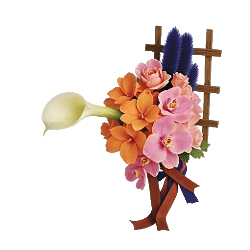 Elegant Calla Lilies