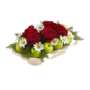 Crimson Rose Elegance