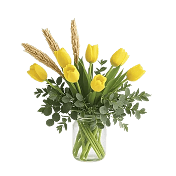 Velvet Tulip Display