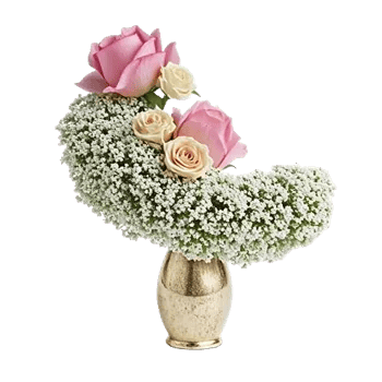 Blossom Radiant Whisper