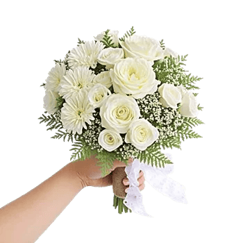Ivory Garden Grace