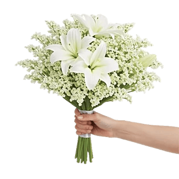 Ivory Blossom Radiance