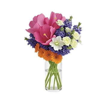 Ivory Blossom Radiance