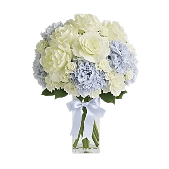 Serene Petal Harmony