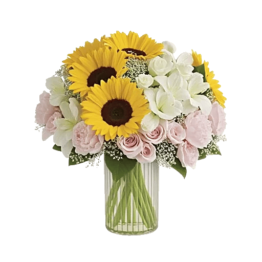 Petal Radiance Bliss