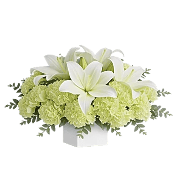 Graceful Lily Display