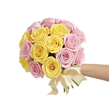 Blushing Rose Symphony