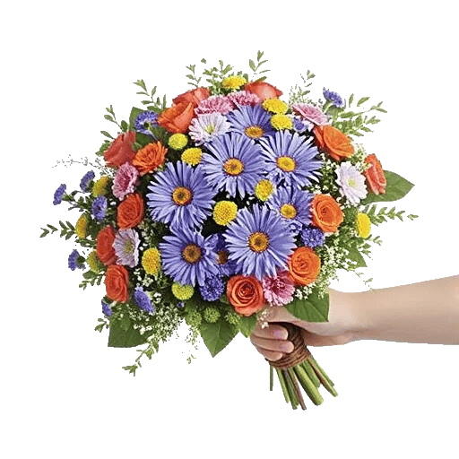 Pastel Blossom Grace