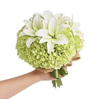 Elegant Calla Lilies