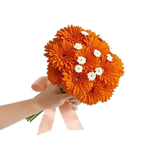 Vibrant Orange Delight