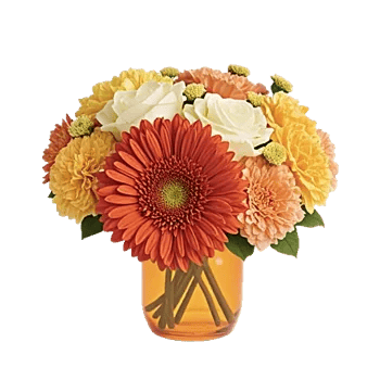 Petal Radiance Bliss