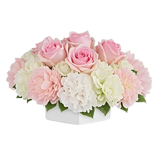 Delicate Petal Cascade