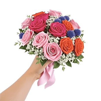 Pastel Pink Roses