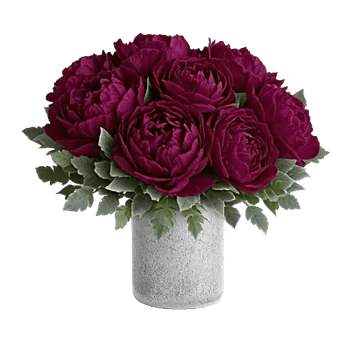 Peony Petal Harmony